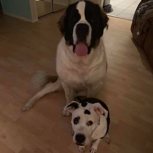 Meet your Posher, Kathy